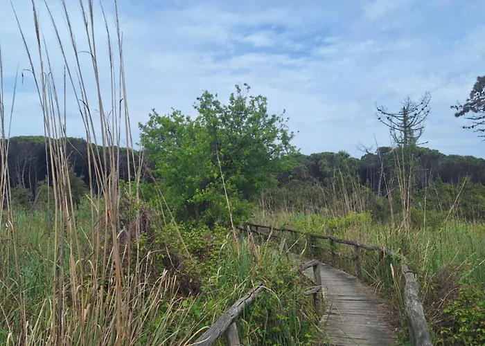 -il Mio Piccolo Angolo Di Mare